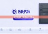 比特派錢(qián)包下載網(wǎng)站|比特派ap
