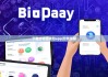 下載比特派錢包app|比特派群